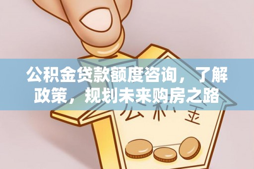 南乐公积金贷款额度咨询，了解政策，规划未来购房之路