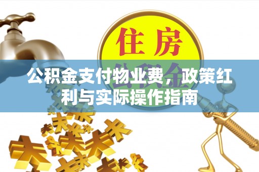 南乐公积金支付物业费，政策红利与实际操作指南