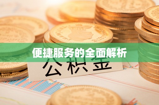 南乐便捷服务的全面解析