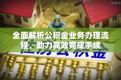 南乐全面解析公积金业务办理流程，助力高效完成手续