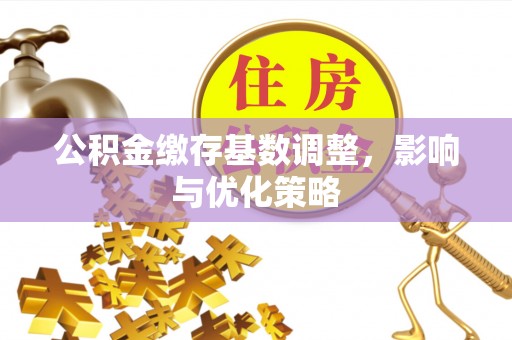 南乐公积金缴存基数调整，影响与优化策略