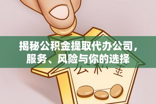 南乐揭秘公积金提取代办公司，服务、风险与你的选择