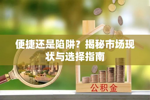 南乐便捷还是陷阱？揭秘市场现状与选择指南