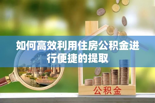 南乐如何高效利用住房公积金进行便捷的提取