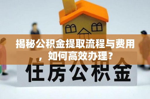 南乐揭秘公积金提取流程与费用，如何高效办理？