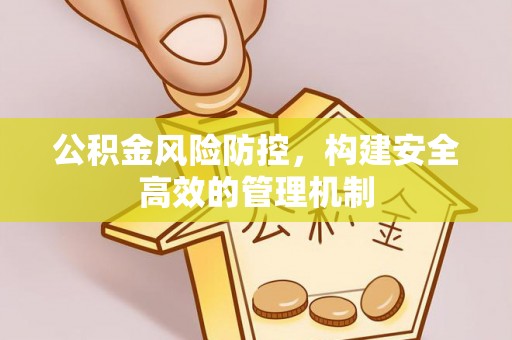 南乐公积金风险防控，构建安全高效的管理机制