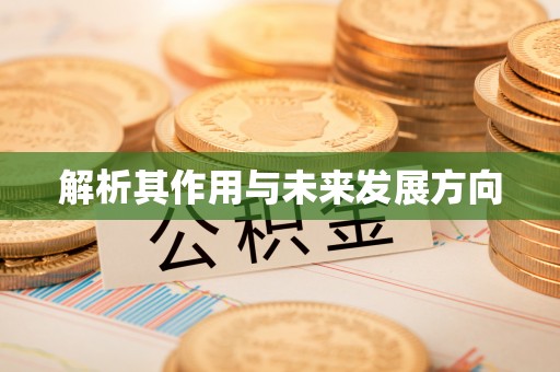 南乐解析其作用与未来发展方向