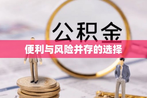 南乐便利与风险并存的选择