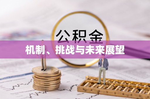 南乐机制、挑战与未来展望