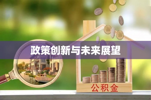 南乐政策创新与未来展望