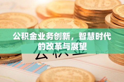 南乐公积金业务创新，智慧时代的改革与展望