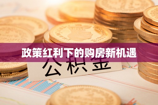 南乐政策红利下的购房新机遇
