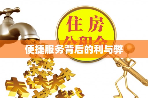 南乐便捷服务背后的利与弊