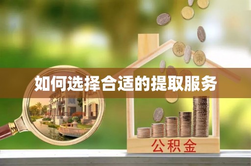 南乐如何选择合适的提取服务