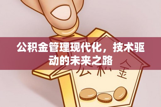 南乐公积金管理现代化，技术驱动的未来之路