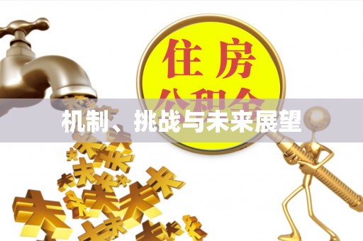南乐机制、挑战与未来展望